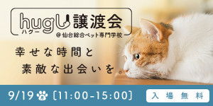 第3回hugU譲渡会を9/19(月・祝)に開催します!